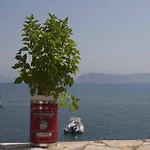 1876 Traditional Seafront Holiday home