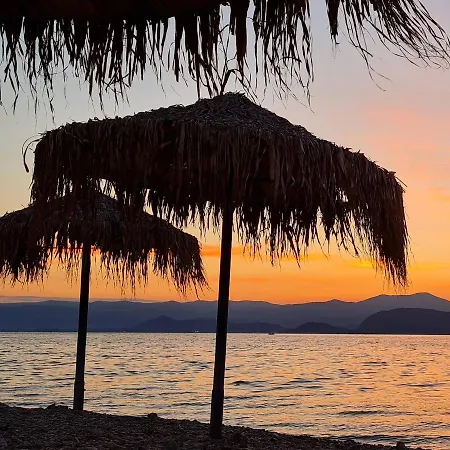 1876 Traditional Seafront *