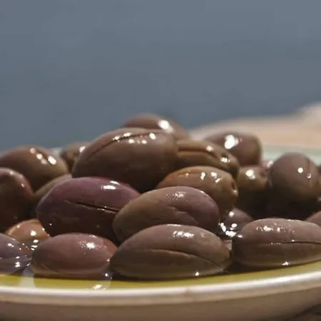 1876 Traditional Seafront Kivérion