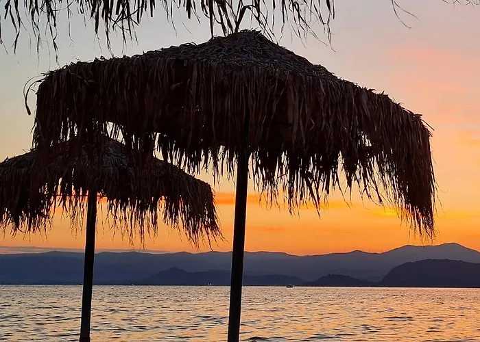 1876 Traditional Seafront *