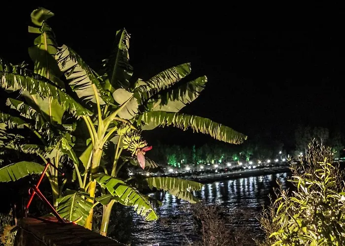 1876 Traditional Seafront *